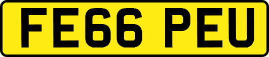 FE66PEU