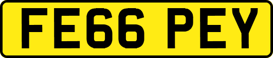 FE66PEY