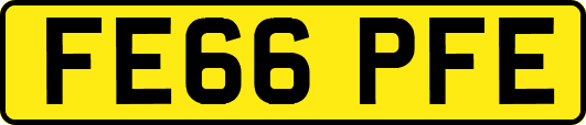 FE66PFE
