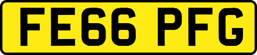 FE66PFG