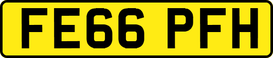FE66PFH