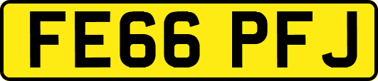 FE66PFJ