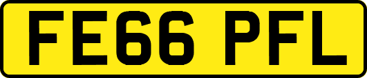 FE66PFL