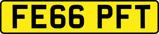 FE66PFT