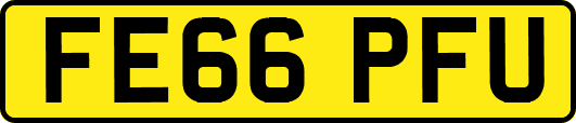 FE66PFU