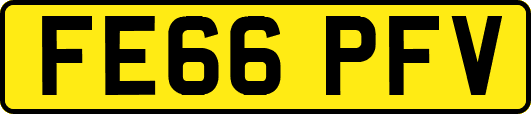 FE66PFV