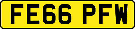 FE66PFW