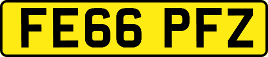 FE66PFZ