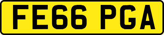 FE66PGA