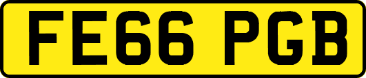 FE66PGB
