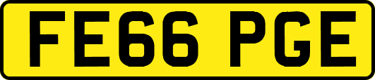 FE66PGE