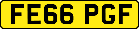 FE66PGF