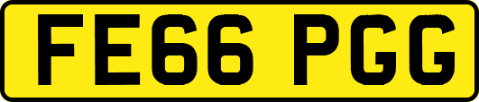 FE66PGG