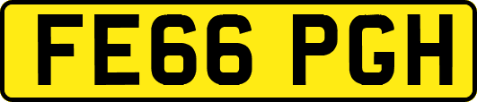 FE66PGH