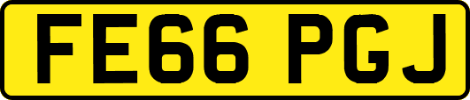 FE66PGJ