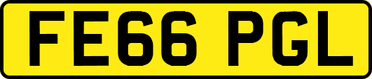 FE66PGL