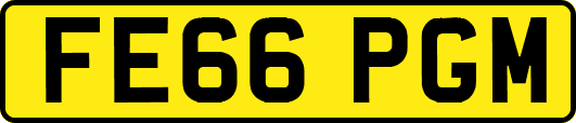 FE66PGM