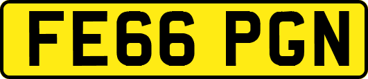 FE66PGN