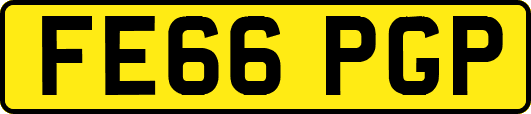 FE66PGP
