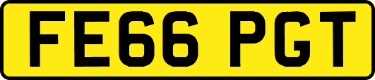 FE66PGT