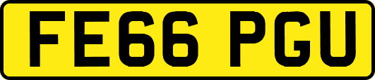 FE66PGU