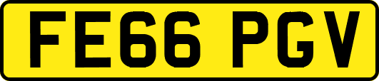FE66PGV