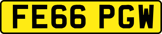 FE66PGW