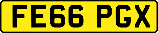 FE66PGX
