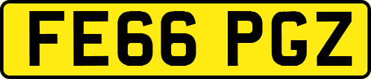 FE66PGZ