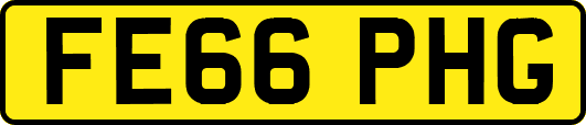 FE66PHG