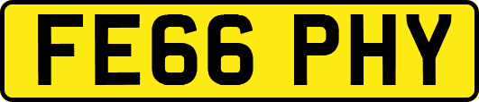 FE66PHY