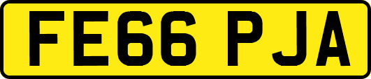 FE66PJA