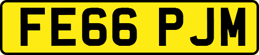 FE66PJM