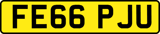 FE66PJU