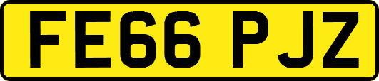 FE66PJZ
