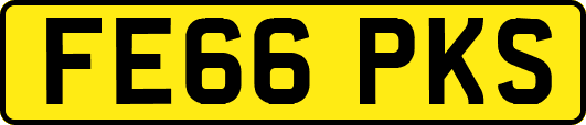 FE66PKS