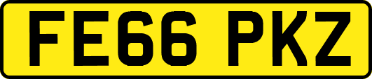 FE66PKZ