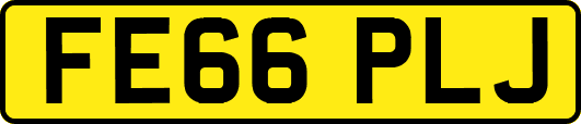 FE66PLJ