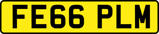 FE66PLM