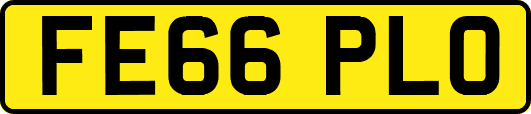 FE66PLO