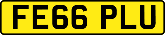 FE66PLU