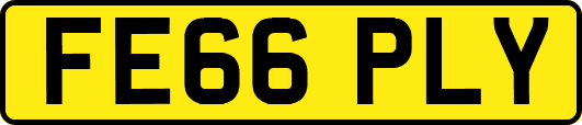 FE66PLY