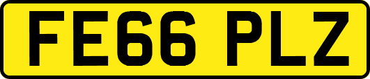 FE66PLZ