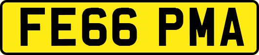 FE66PMA