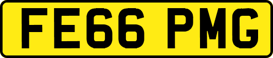 FE66PMG