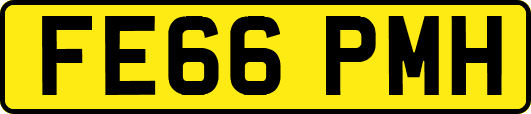FE66PMH
