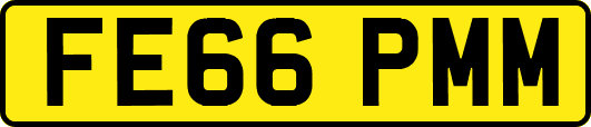 FE66PMM