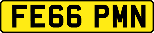 FE66PMN