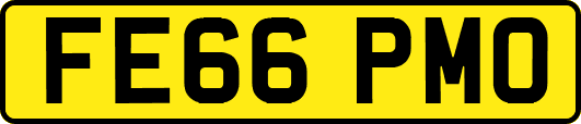 FE66PMO