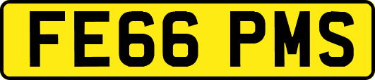 FE66PMS